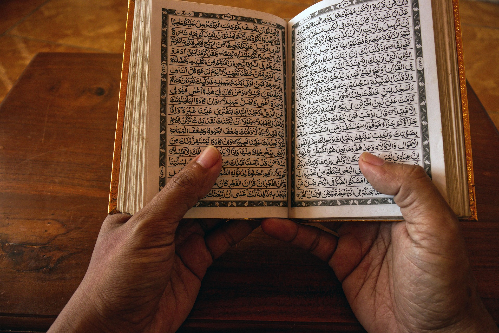 مسار التأصيل